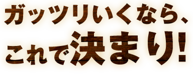 ガッツリいくなら