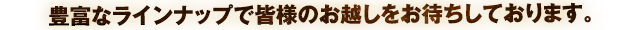 豊富なラインナップ